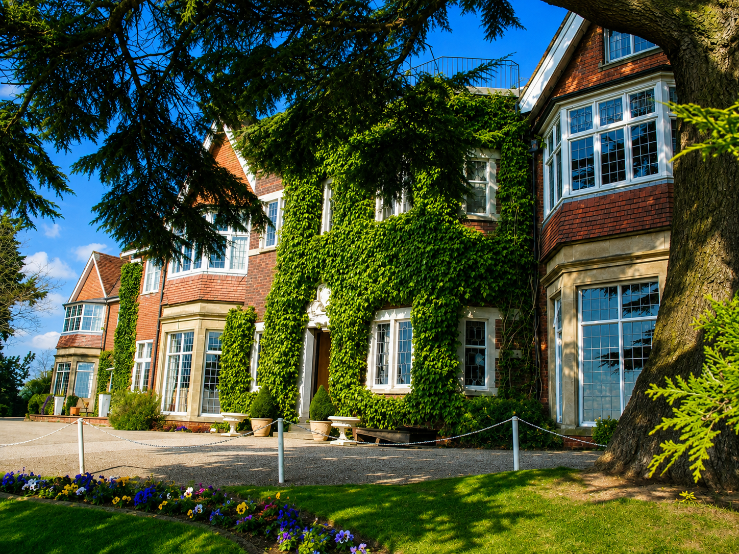 Grounds view